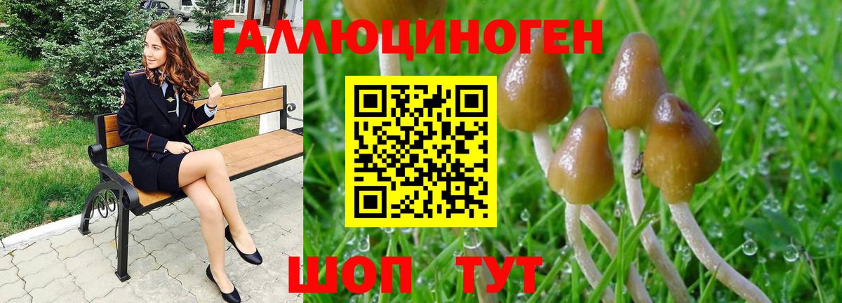 Псилоцибиновые грибы ЛСД  Галлюциногенные грибы MAGIC MUSHROOMS  Электрогорск  Вход с VPN 